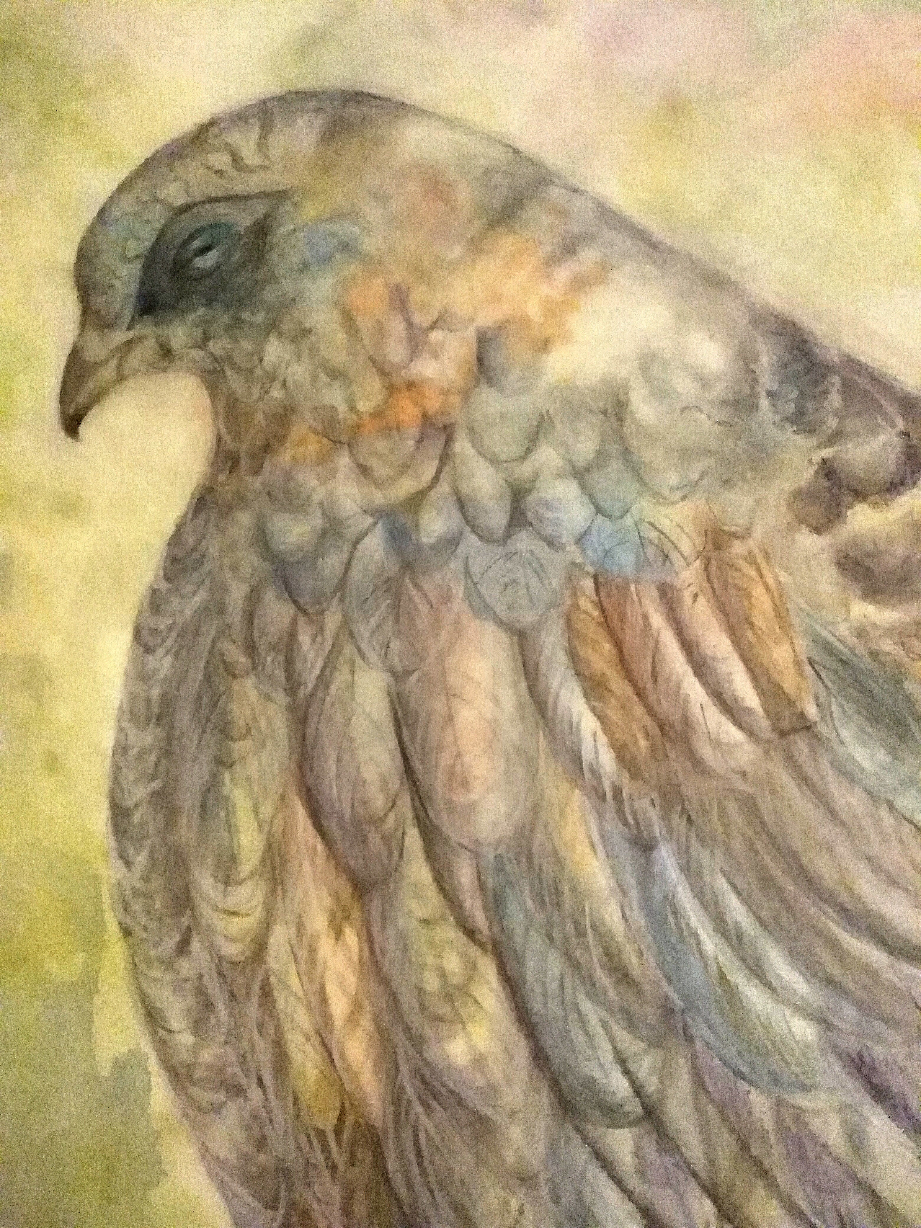 PRIMA DEL VOLO