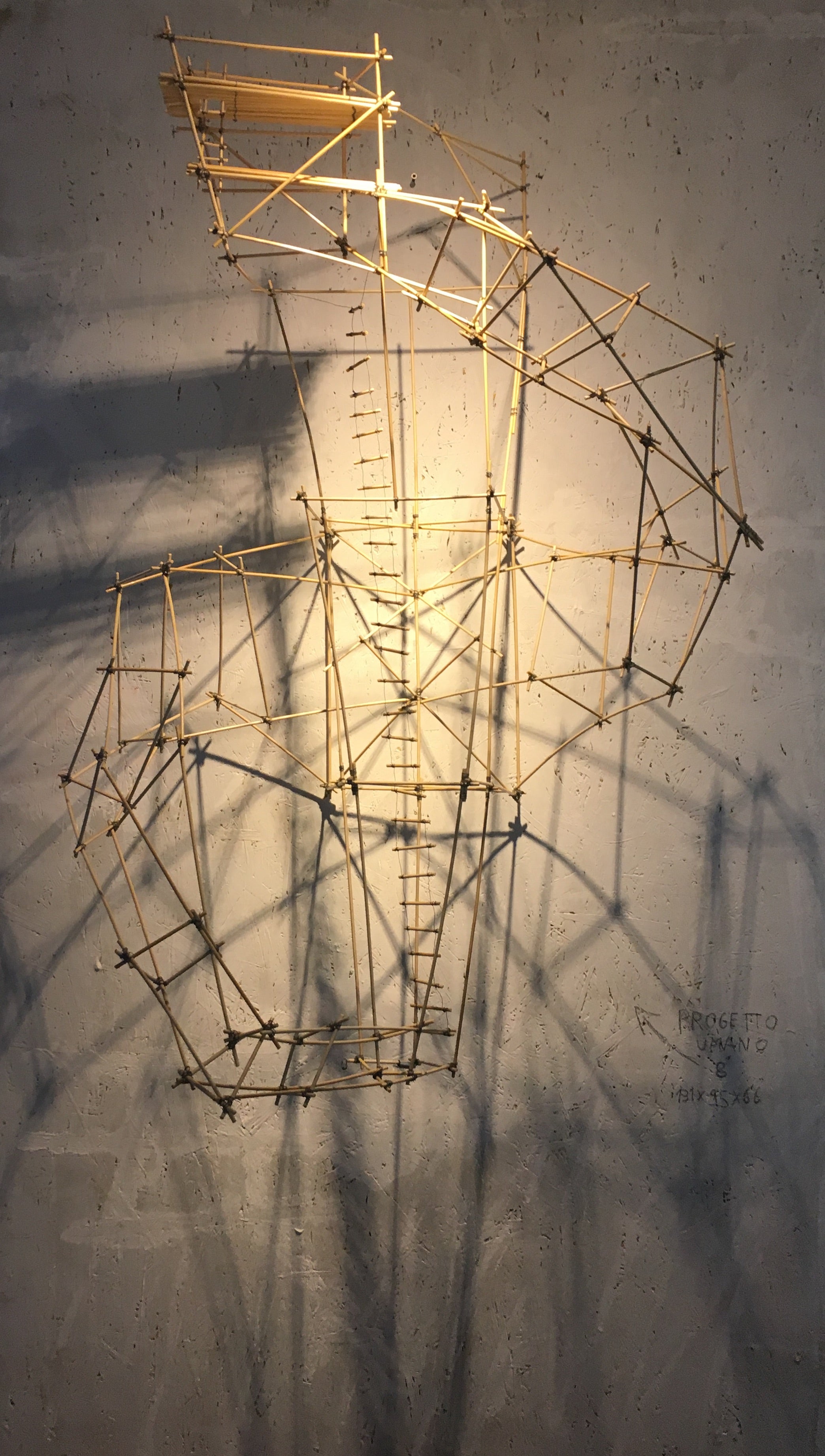 HUMAN PROJECT 8