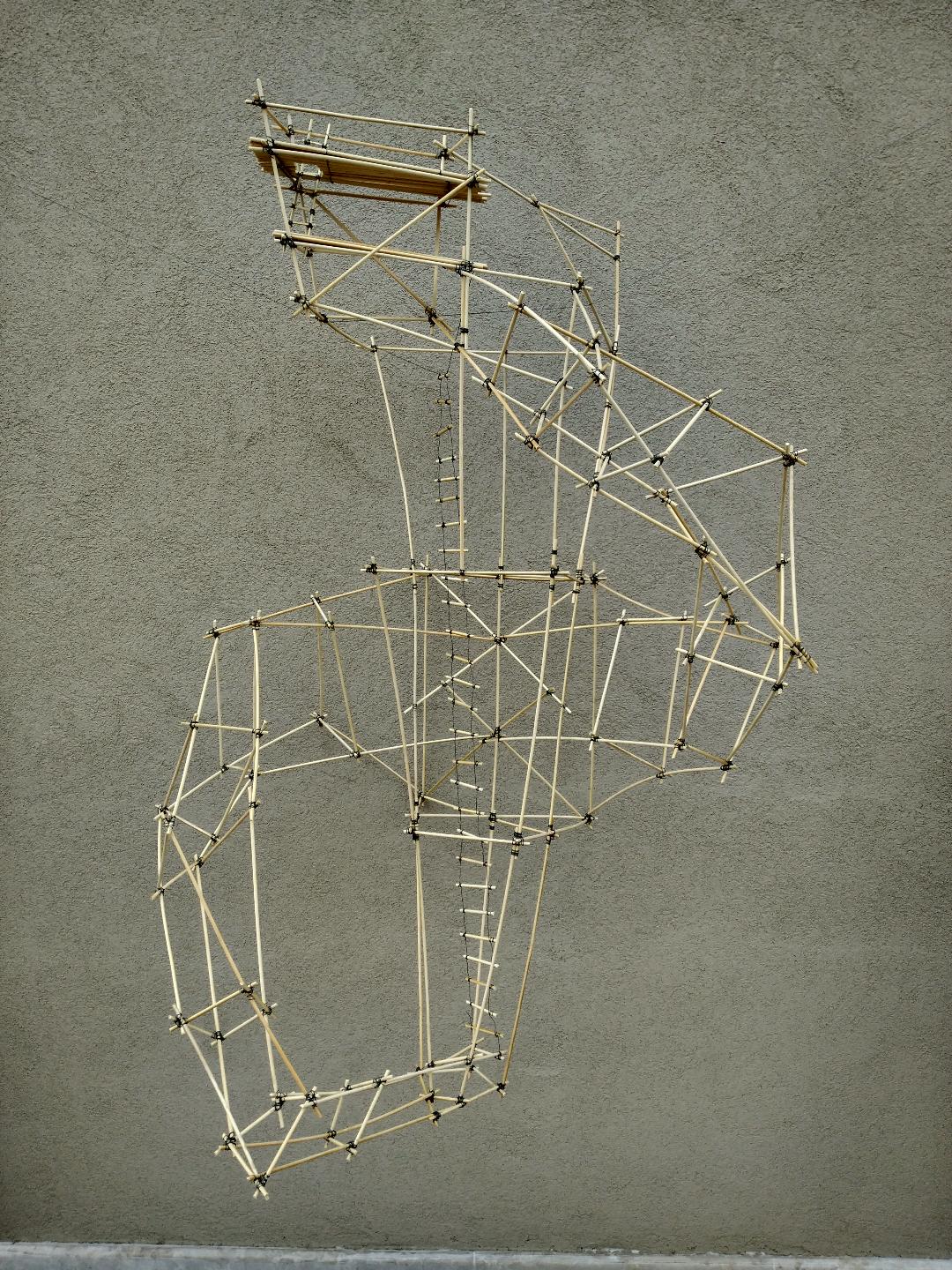 HUMAN PROJECT 8