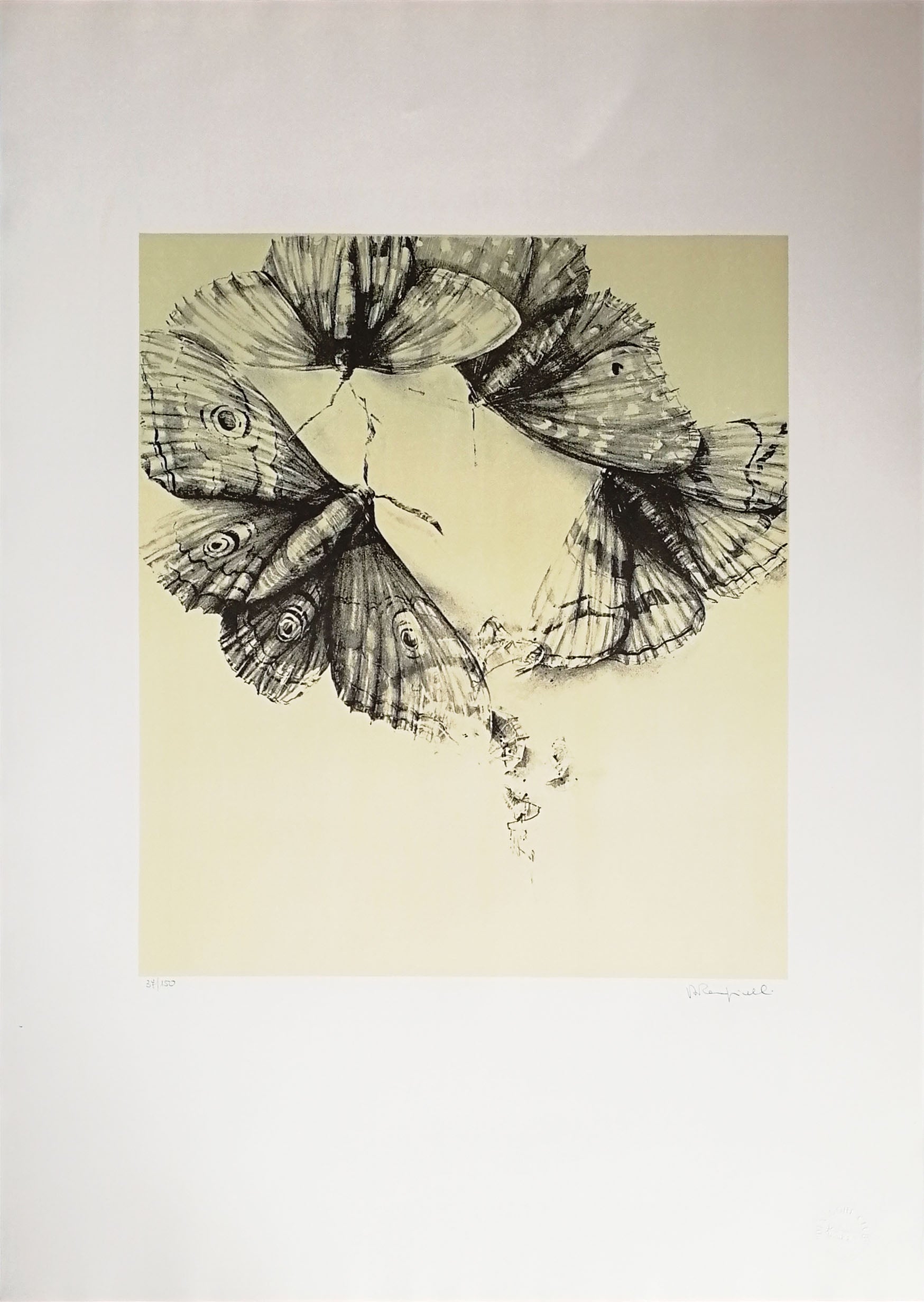 Roberto Rampinelli - These are not fairy tales