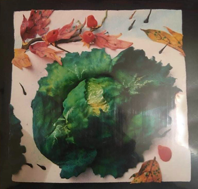 Piero Gilardi - Cabbage in the Snow