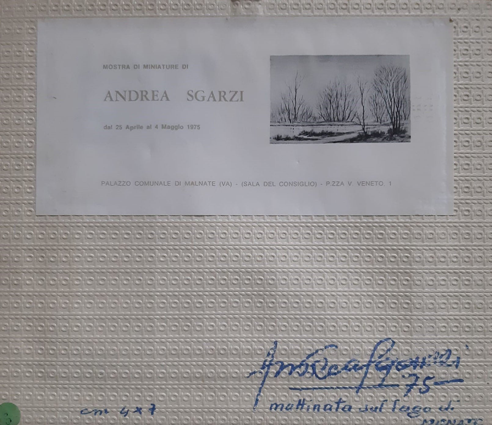 Andrea Sgarzi - Mattinata sul Lago di Monate