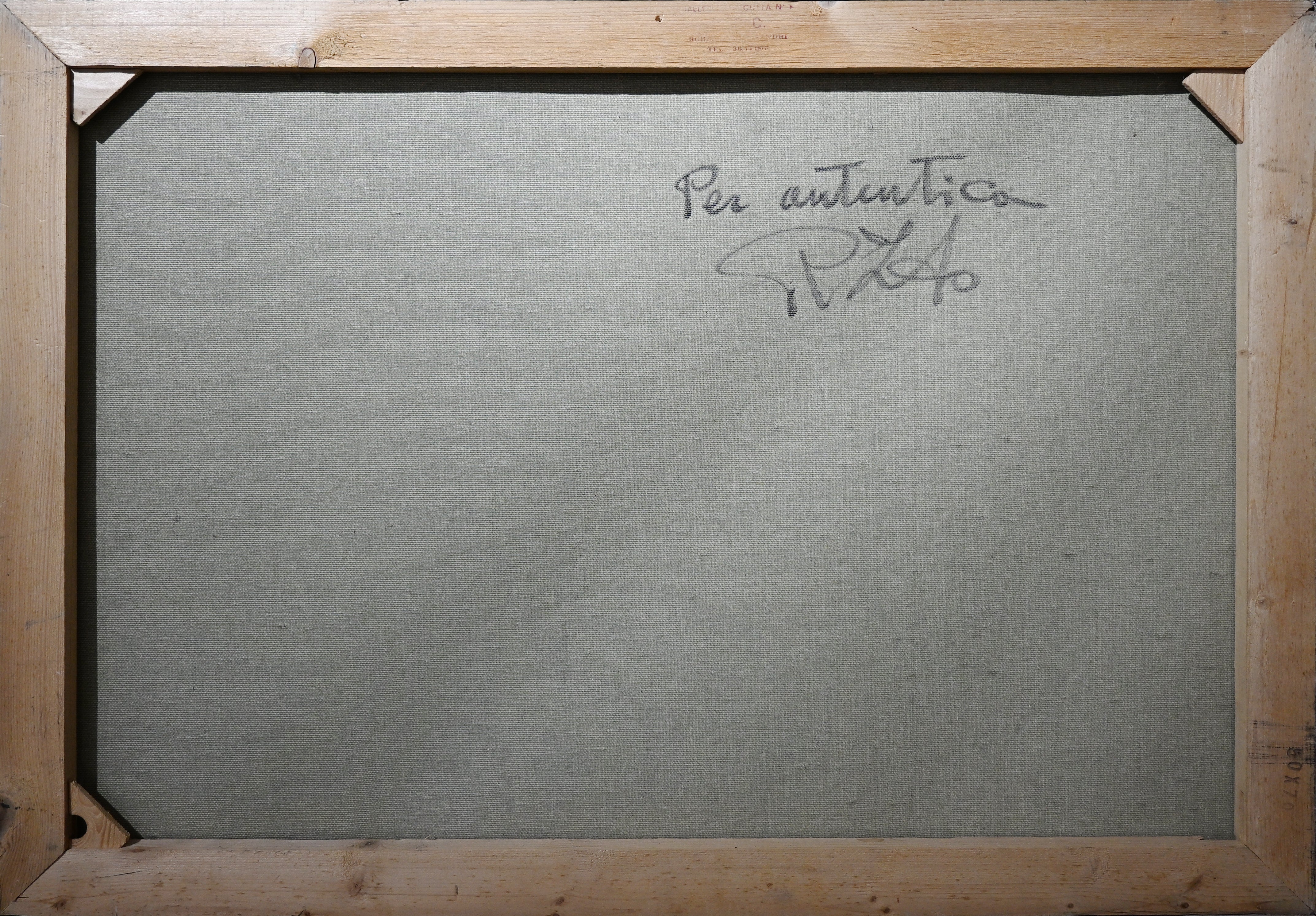 Rodolfo Zito - Cavalli