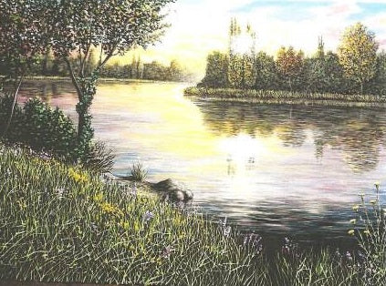 Franco Rinaldi - Riflessi al tramonto