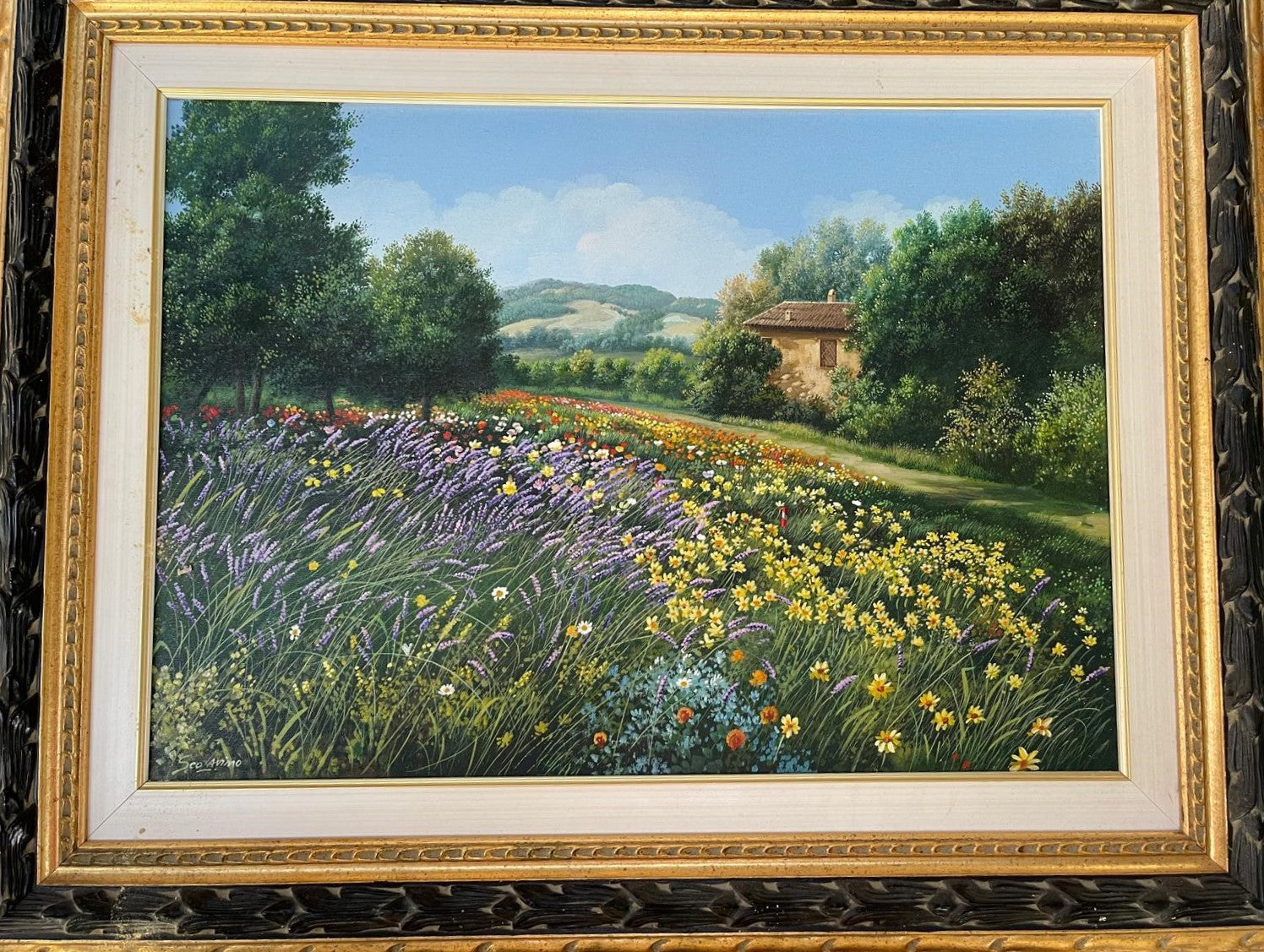 Field of flowers