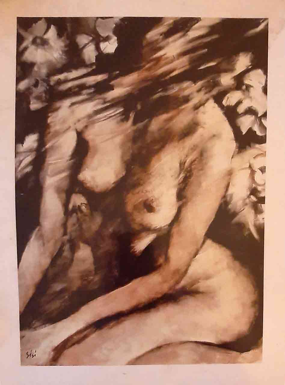 Silvana Sisi - Desnuda al atardecer