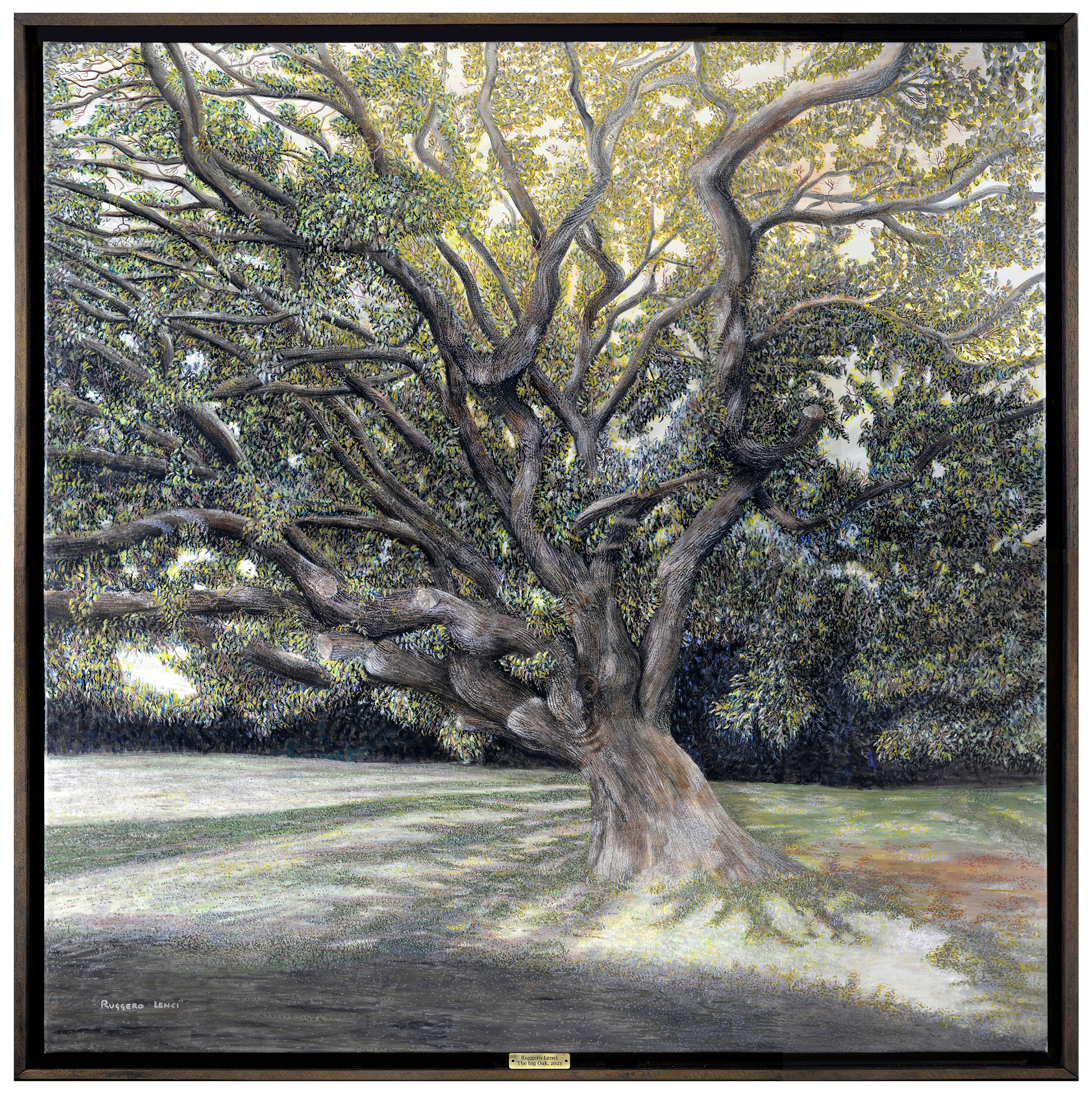 La grande quercia (The big oak)