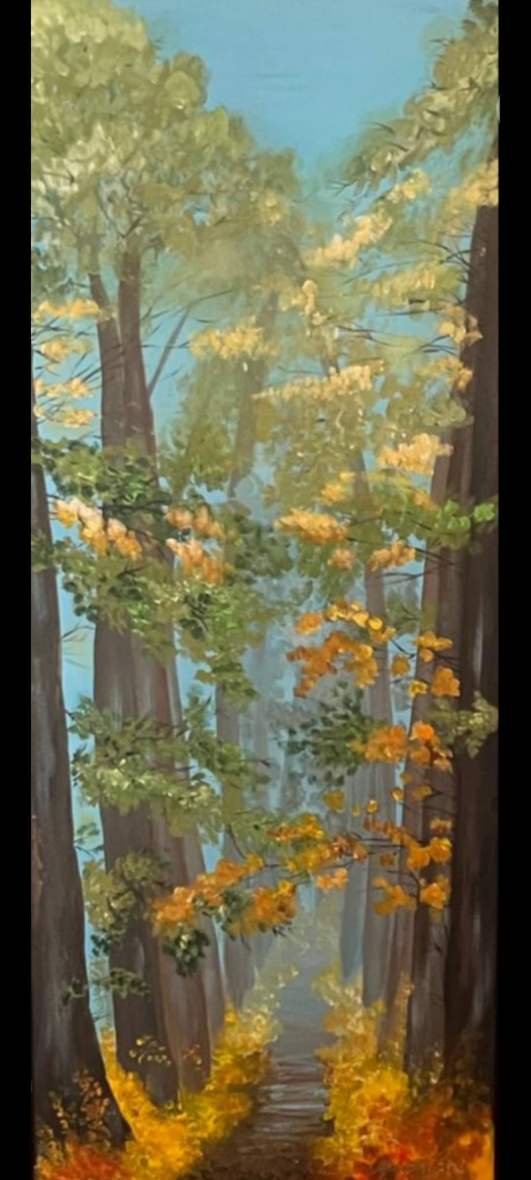 The forest
