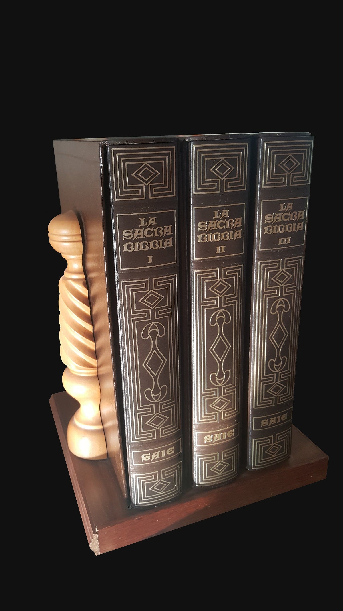 La Santa Biblia - Edición Saie