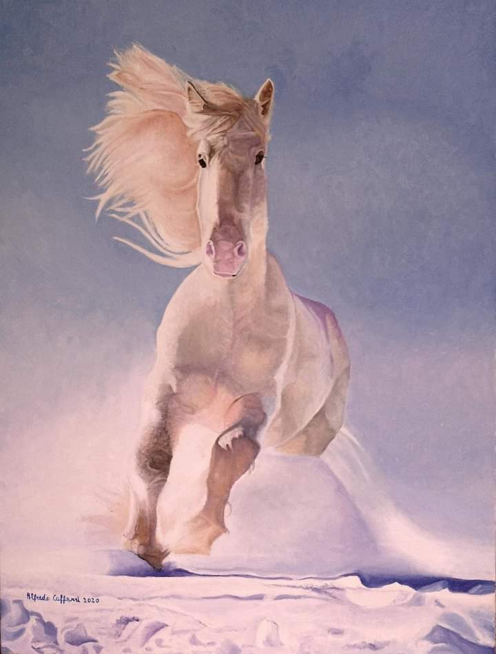 semental blanco