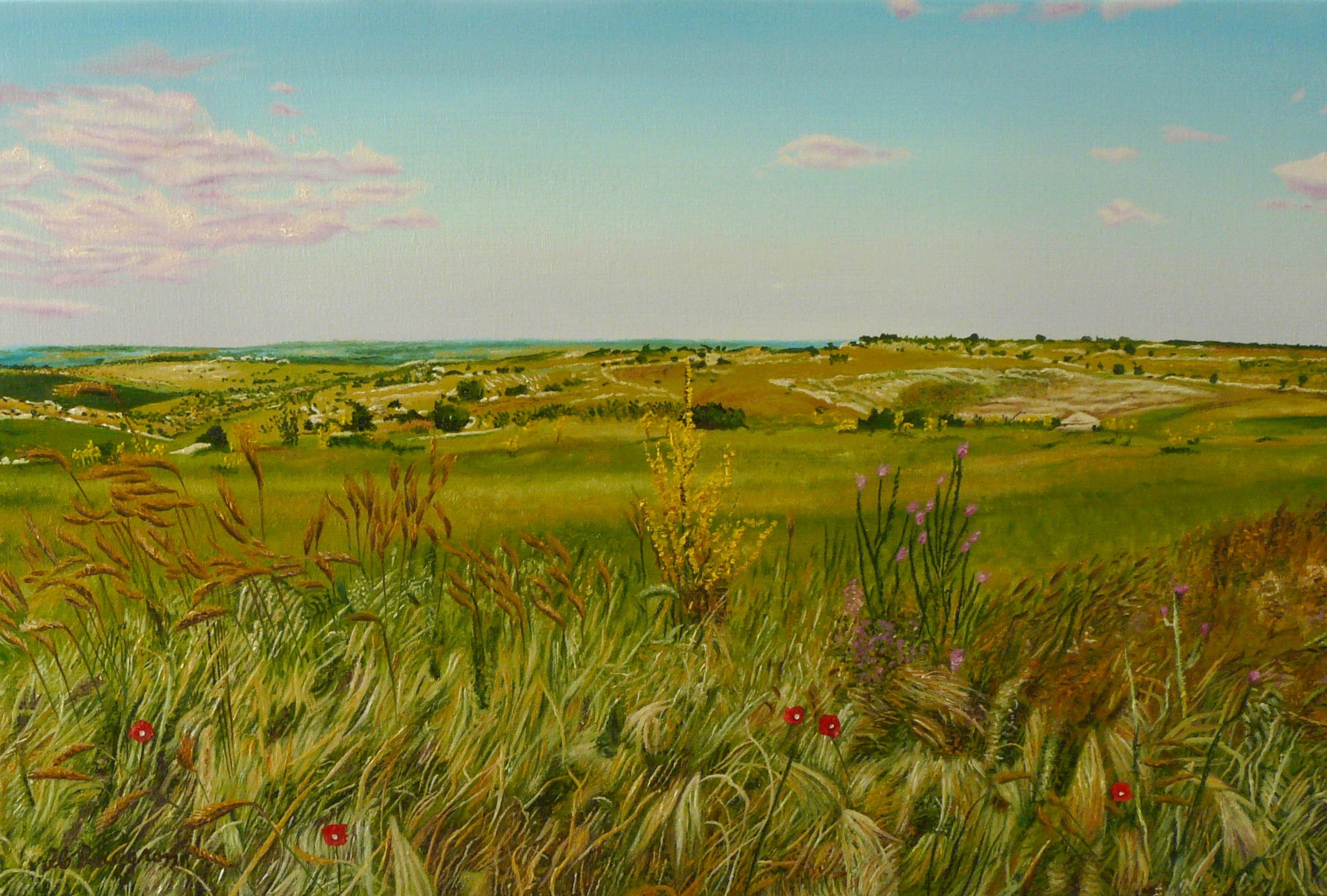 Buccigrossi Floriano - Sulle Murge