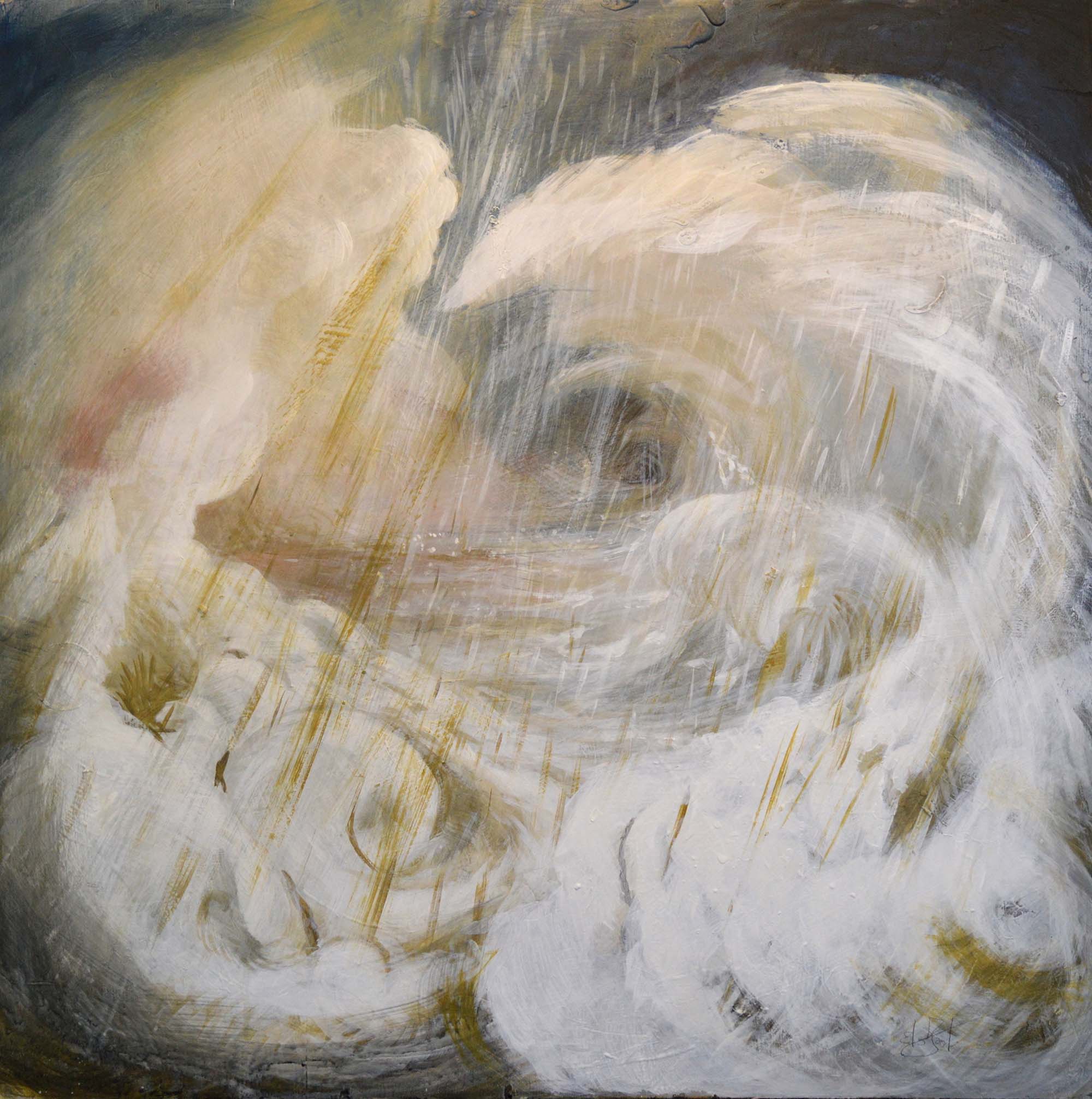 Emilio Facchini - Tormenta