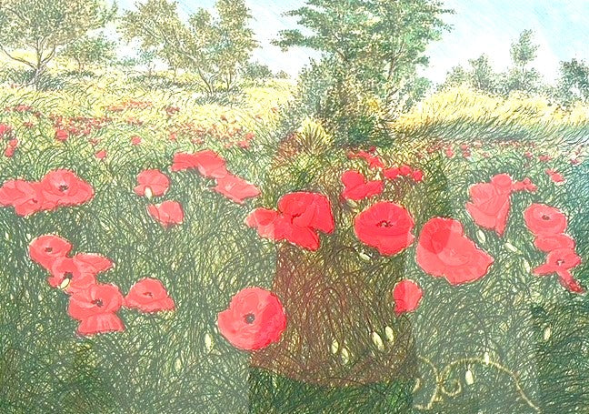 AMAPOLAS - FRANCO AZZINARI
