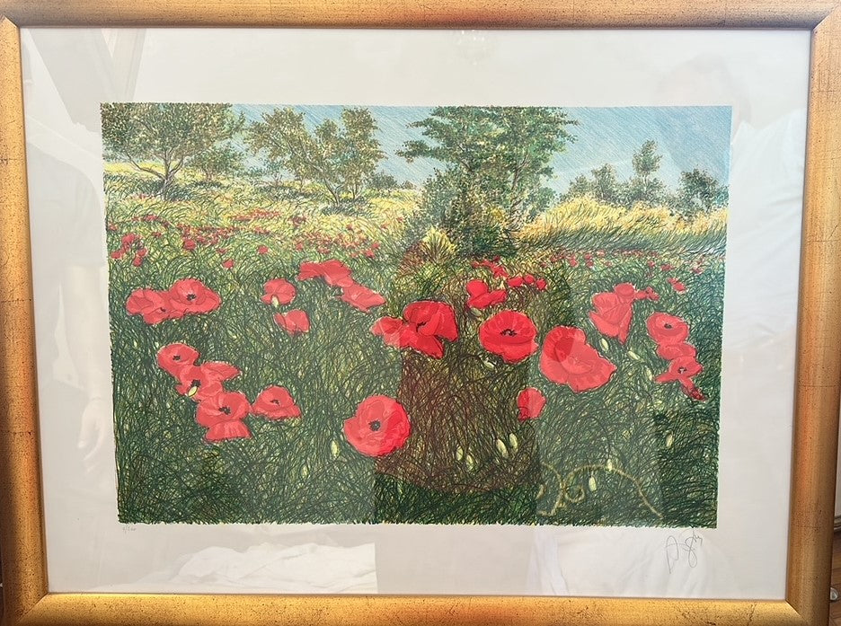 AMAPOLAS - FRANCO AZZINARI