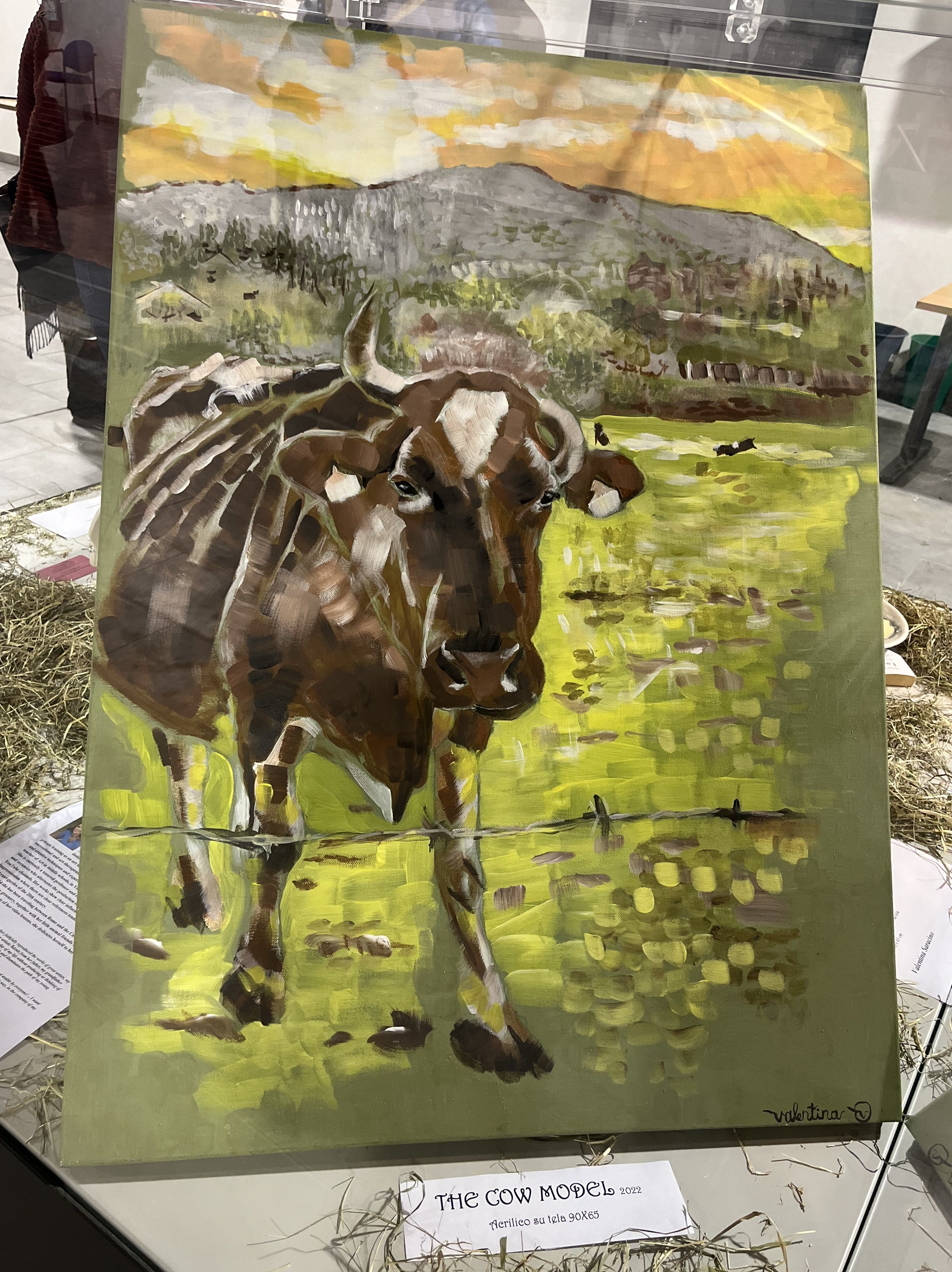 THE COW MODEL