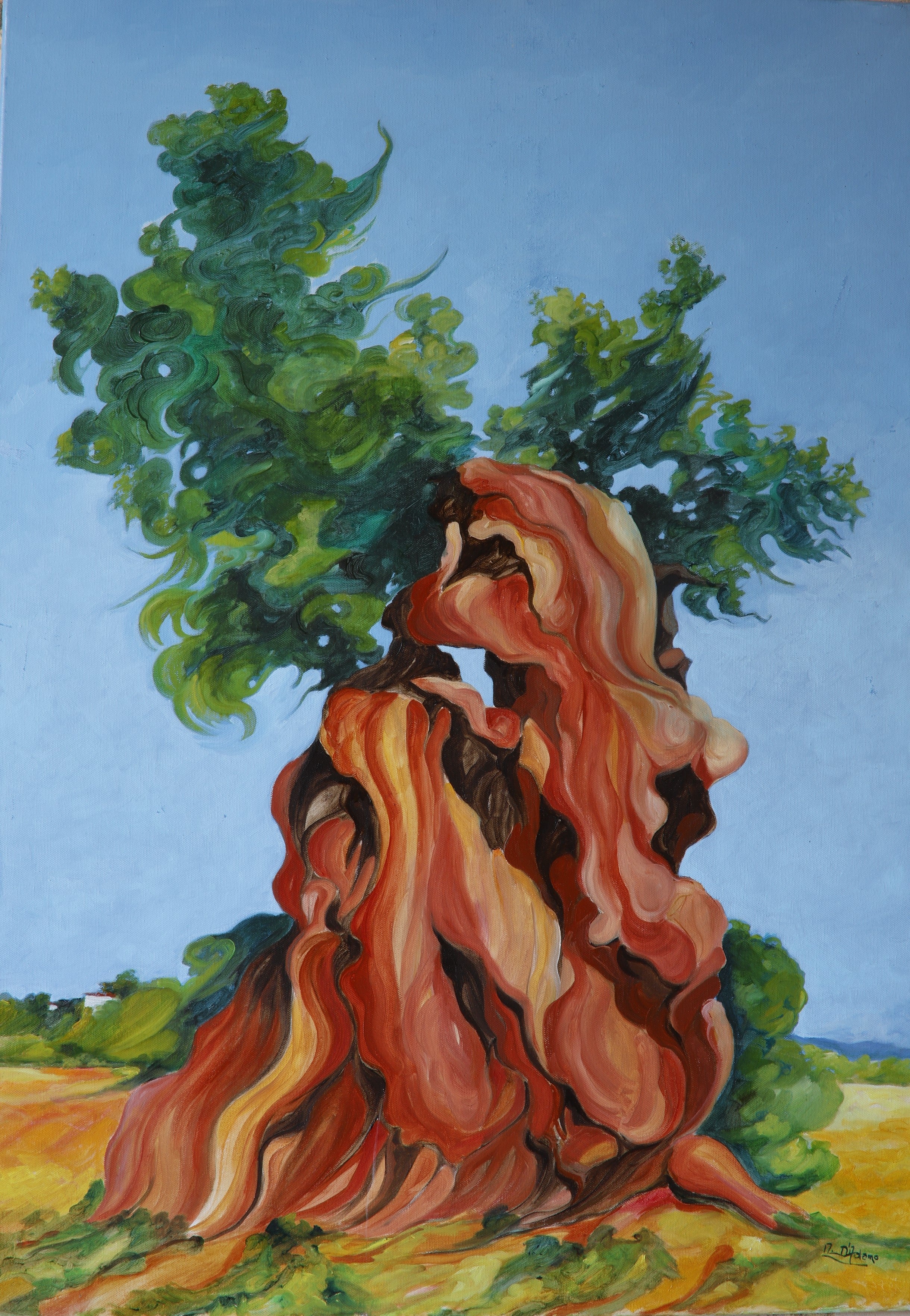 Large olive tree no. 1