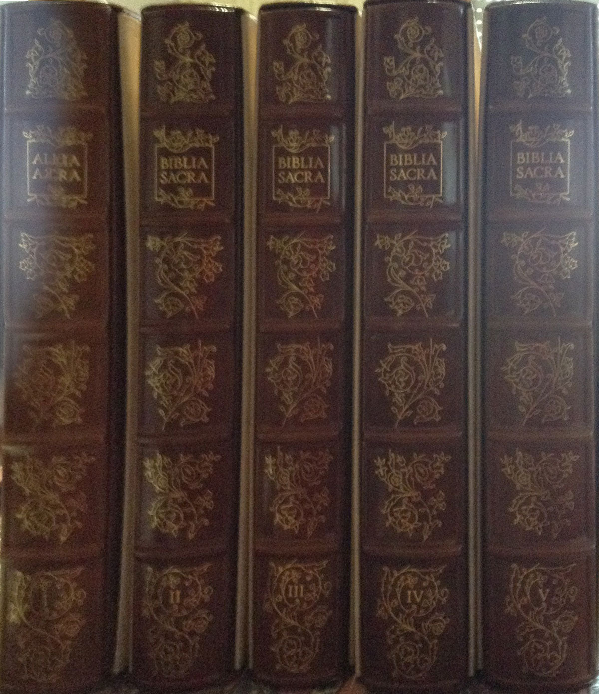 Santa Biblia - Rizzoli