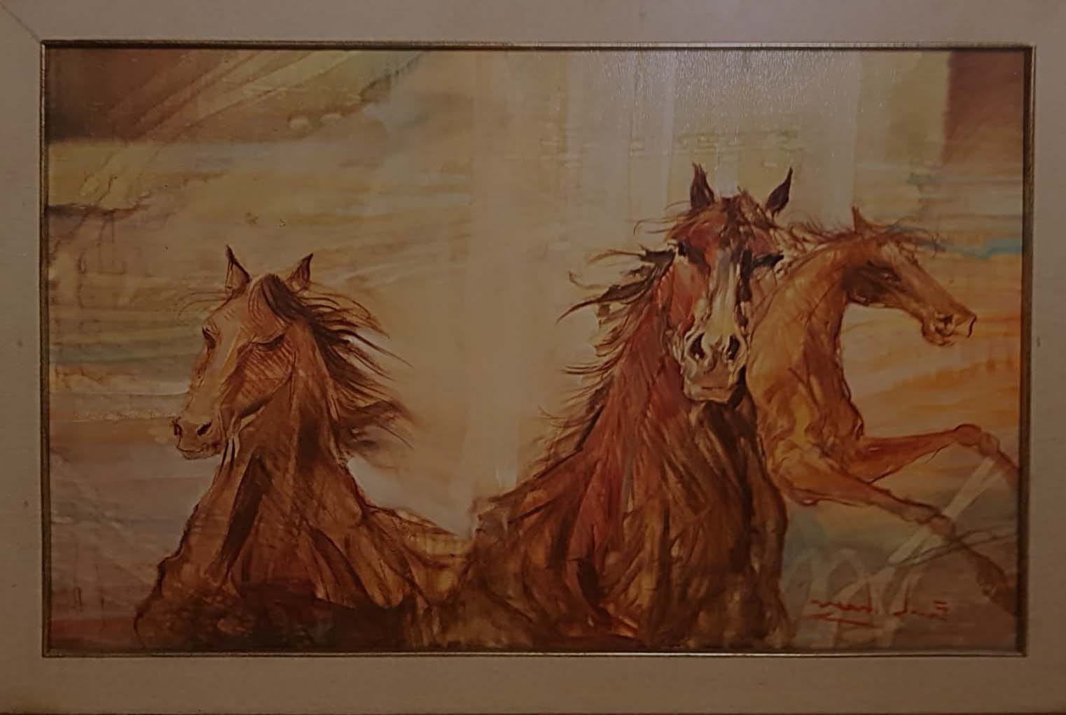 Ernando Venanzi - Cavalli