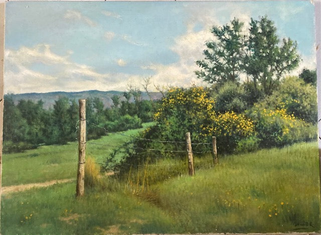 Towards the Sacramento hill (Maremma)